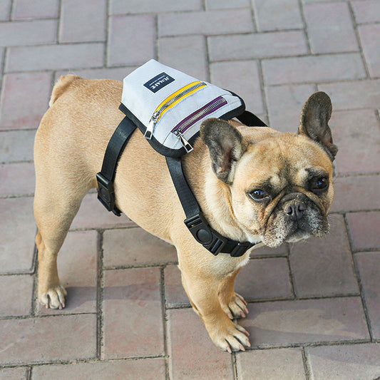 Dog Travel Backpack