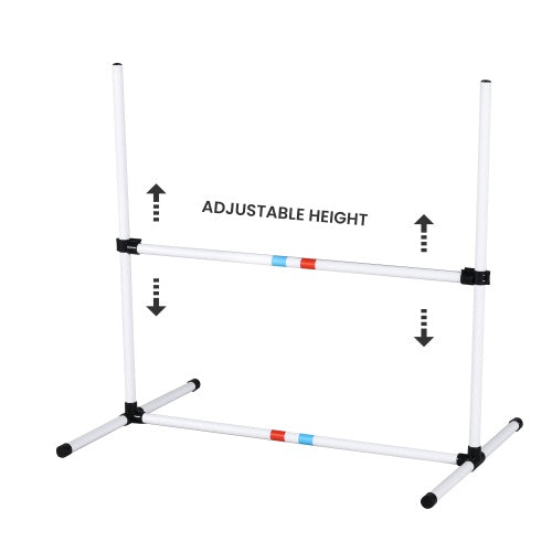 Agility With Set Carrying Tote!