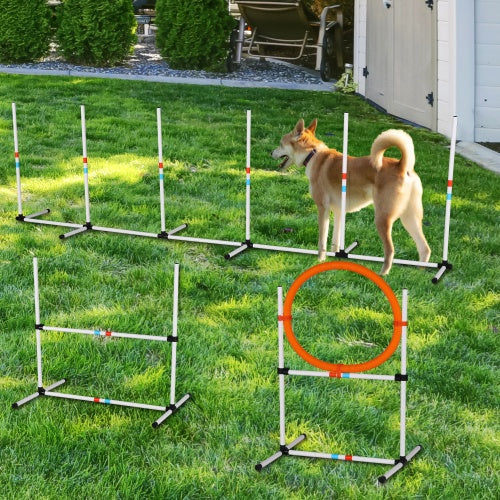 Agility With Set Carrying Tote!